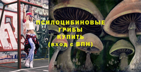 спиды Абаза