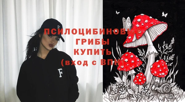 спиды Абаза