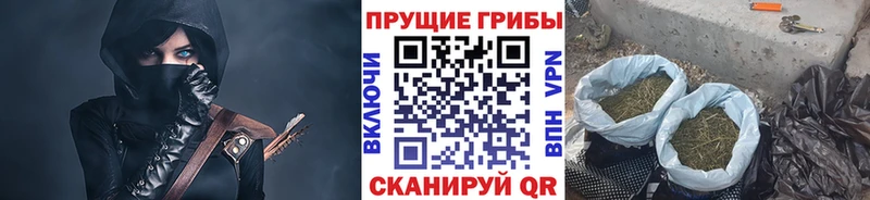 Галлюциногенные грибы мицелий Ильский