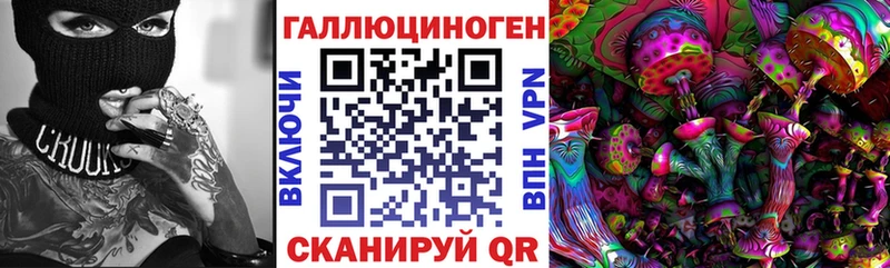 Псилоцибиновые грибы Psilocybe  гидра ссылки  Ильский 
